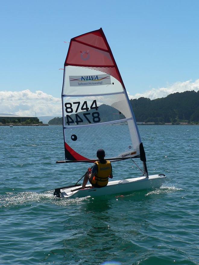 O'pen BIC maiden Wellington sail - Jennifer Loader © Jennifer Loader